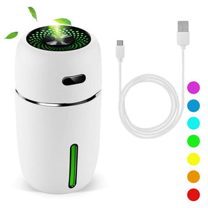 Portable Car Air Humidifier